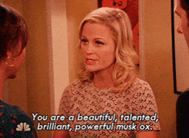 Leslie Knope saying, "You are a beautiful, talented, brilliant, powerful musk ox."