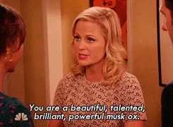 parks and recreation amy GIF