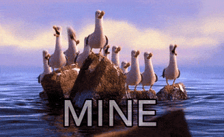 Nemo Seagulls GIFs - Get the best GIF on GIPHY