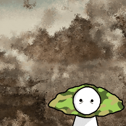 Croissant War GIF