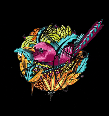 Bird GIF