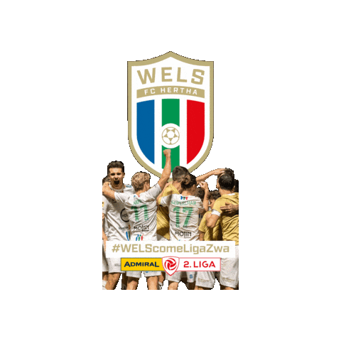 Meister Sticker by FC Hertha Wels