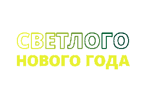 New Year Новый Год Sticker by fondsvet