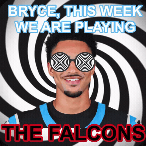 Panthers Carolinapanthers GIF