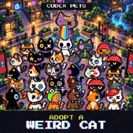Cat Stay Weird GIF by Weird Cats