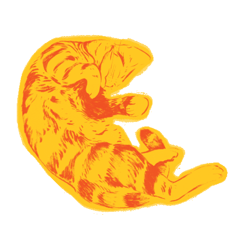 Cats Sticker