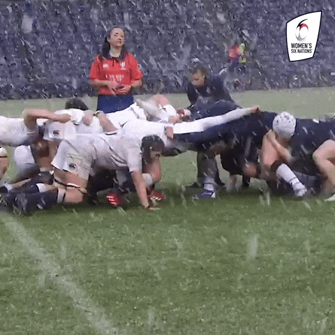 Snow Day Rugby GIF by Women's Six Nations