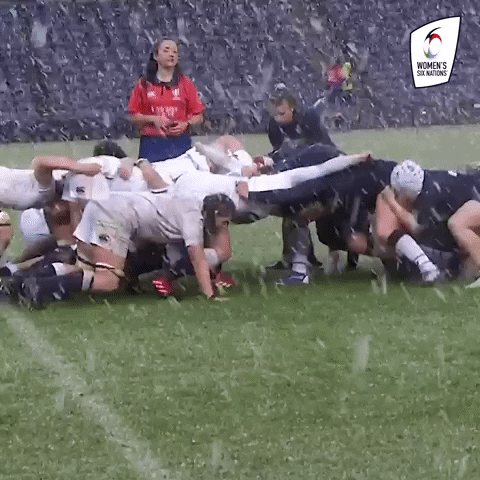 Snow Day Rugby GIF by Women's Six Nations