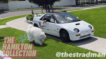Walking Dog Tiny Car GIF by TheHamiltonCollection