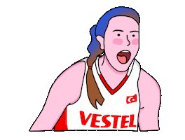 Vestel Türkiye Sticker