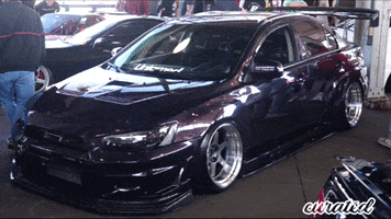 Camber Stancenation GIF by Curated Stance Club!