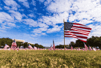 Best Happy Veterans Day Gifs Primo Gif Latest Animated Gifs