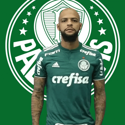 felipe melo finish GIF by SE Palmeiras