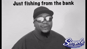 Seattle Washington GIF