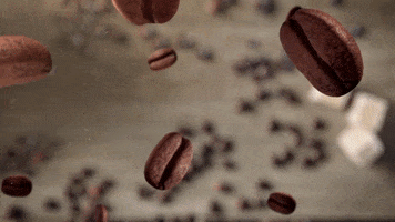 Coffee Roasters GIF by coffeebrands