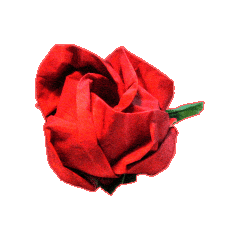 Flower Rose Sticker