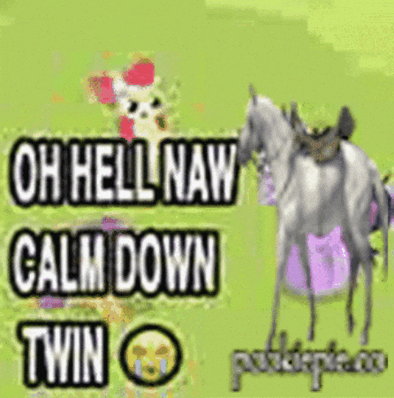 Calm Down My Little Pony GIF