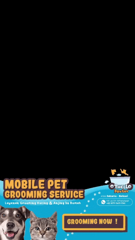 GIF by Othello PawCare