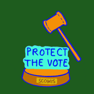 Protect the vote