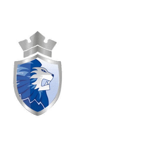 @dordrechtlions Sticker