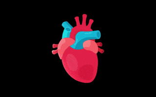 EducationTwo SRL GIF