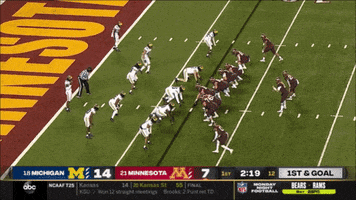 Michigan Football GIF