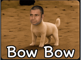 Pawan Kalyan Og GIF
