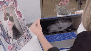 Cat Lady GIF by HelloGiggles