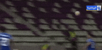 Maicol GIF