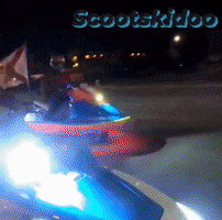 Florida GIF