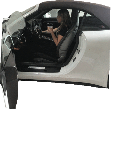 Taddia Group Sticker