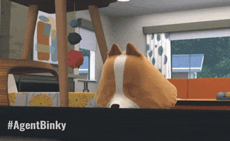 High Energy Cat GIF by Treehouse Direct