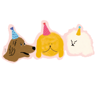 isabella_bersellini party friends dogs happybirthday Sticker