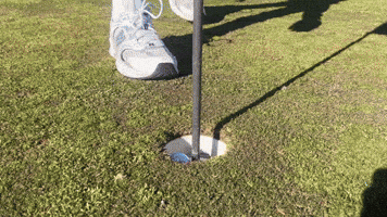 Golf Putting GIF