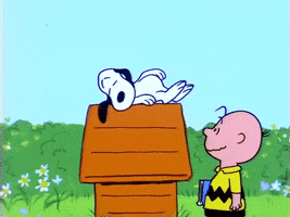 Peanuts gif. Charlie Brown stands next to Snoopy's doghouse as Snoopy slowly awakes, rises, and yawns.