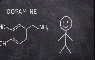 Chainsawdoggyzzz GIF