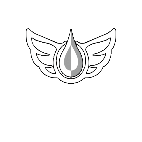 Taiwan Wingfoil Sticker by BbTALKIN