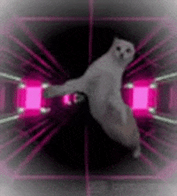 cappa via cave hotel GIF