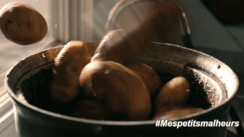 GIF by Mes petits malheurs