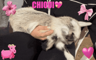 Chiqui GIF