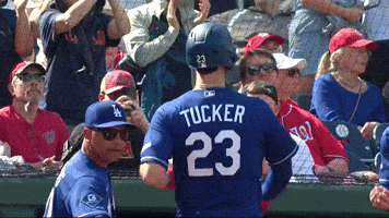Los Angeles Dodgers Sport GIF by MLB
