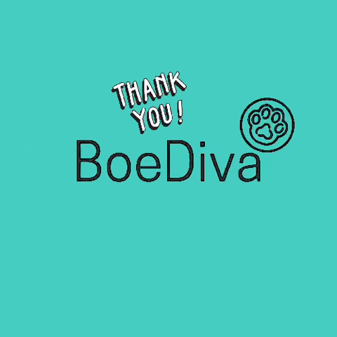 BoeDiva thanks thankyou dogbrand boediva GIF