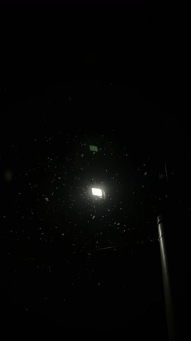Snowfall GIF