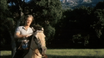 Horseback GIF