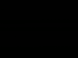 pinheiro  GIF