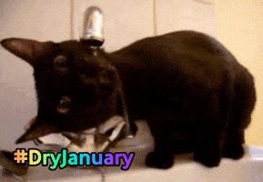 assoAIDES water dry january GIF