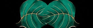 InterMedia ContentMakers GIF