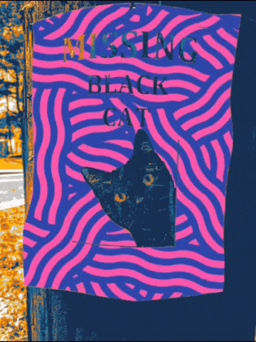 michaelpaulukonis cats bacon black cat digital collage GIF