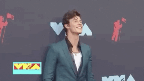 Shawn Mendes Vmas 2019 GIF by 2018 MTV Video Music Awards