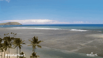 Palm Trees Beach GIF by Hallmark Channel